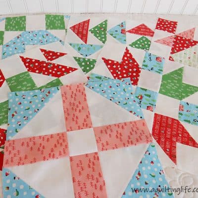 June block of the month Christmas