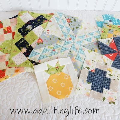 Moda Block Heads blocks 1-9