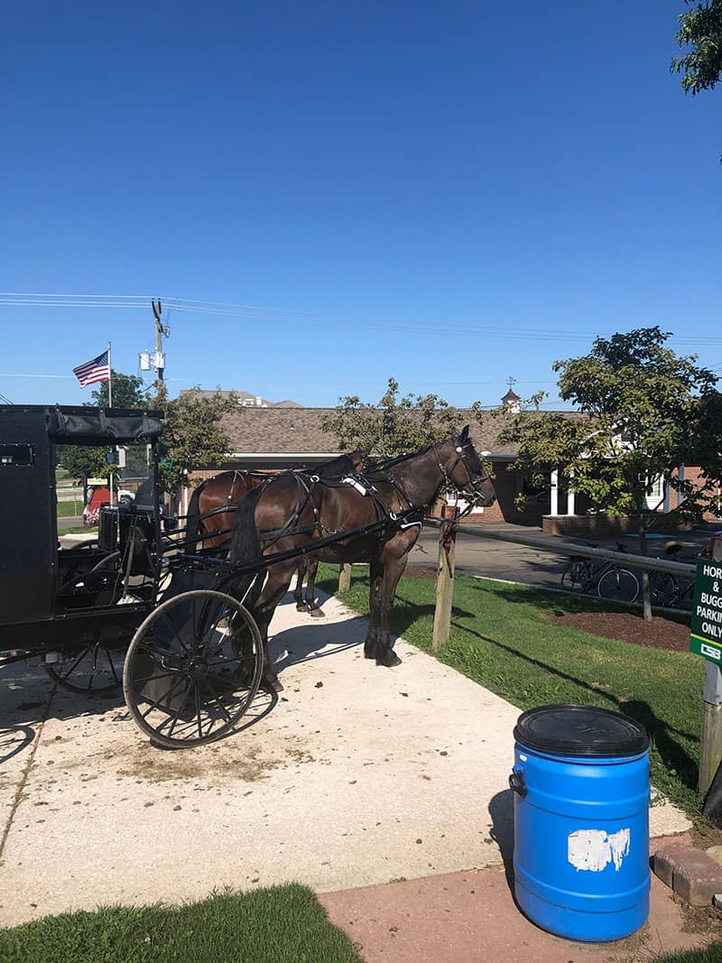 Amish Buggy and horses | Quilter's Gathering in Berlin by popular quilting blog, A Quilting Life: image of Amish buggy and horses in Berlin, Ohio.