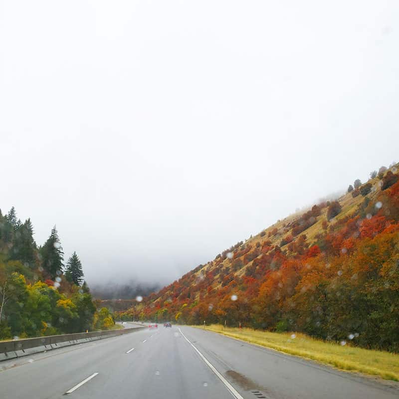 fall leaves |  Girlfriend's Day Out Quilt Event by popular Utah quilting blog, A Quilting Life: image of Fall leaves. 
