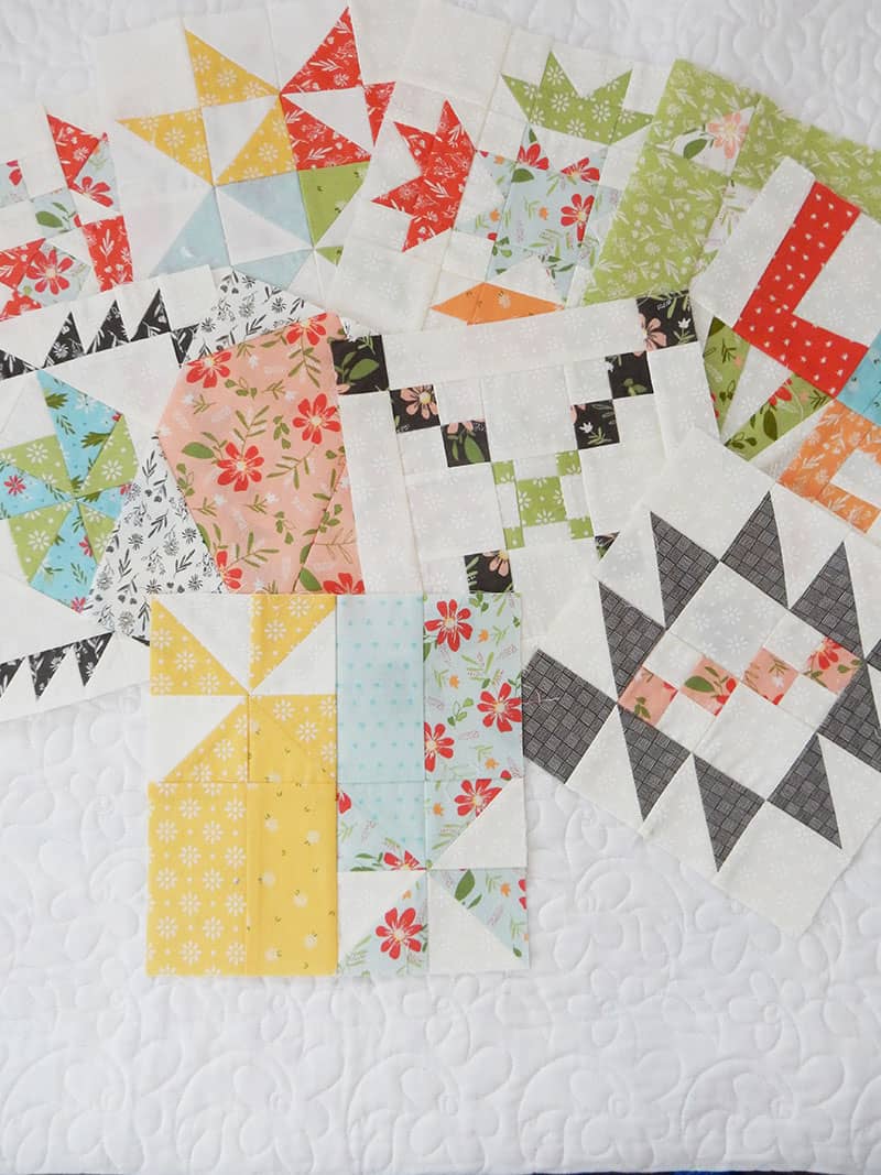 Moda Block Heads 3 Block 10 featured by Top US Quilting Blog, A Quilting Life: image of Blocks 1-10