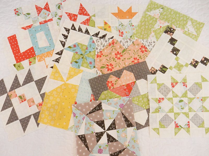 Moda Block Heads 3 Block 13 featured by Top US Quilting Blog, A Quilting Life: image of blocks 1-13