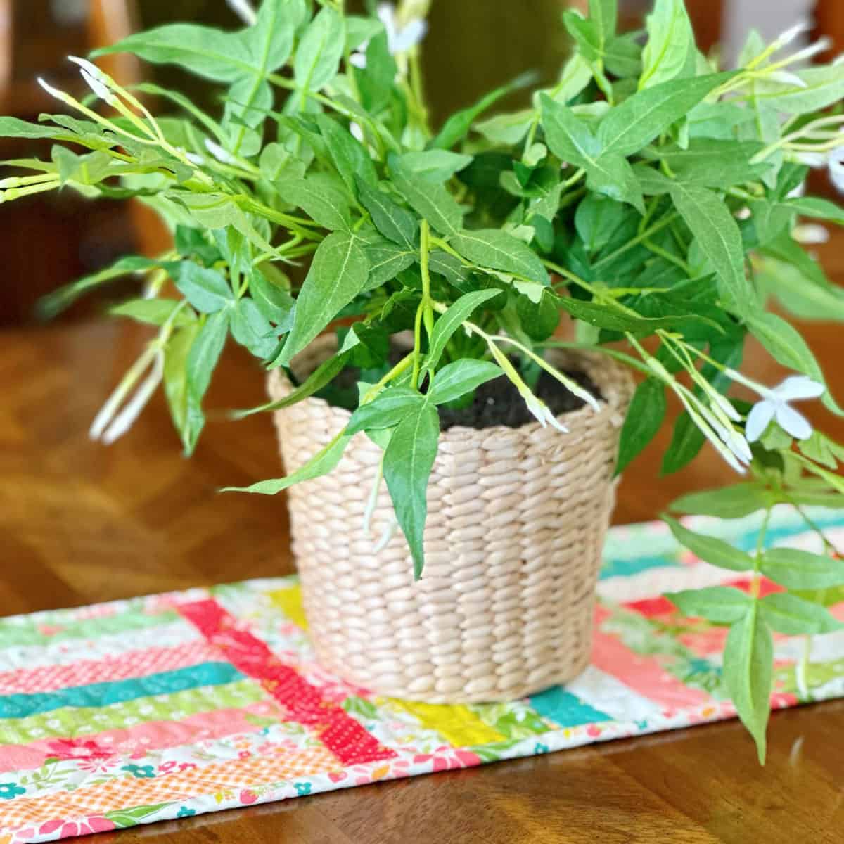 table runner with bright colors and plant