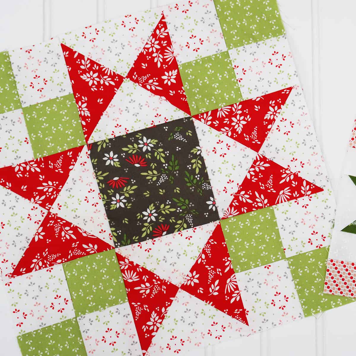 Quilt Block of the Month December 2023 + Finishing - A Quilting Life