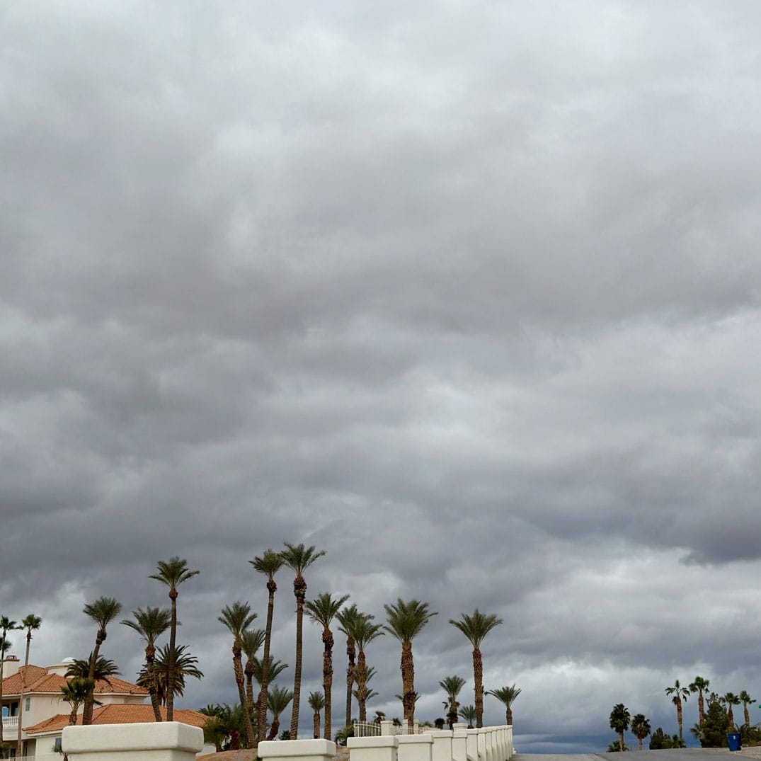 Cloudy skies above palm trees in southern Nevada