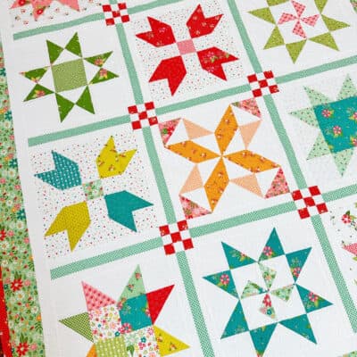 Garden Stars Sampler Quilt in Strawberry Lemonade Fabrics
