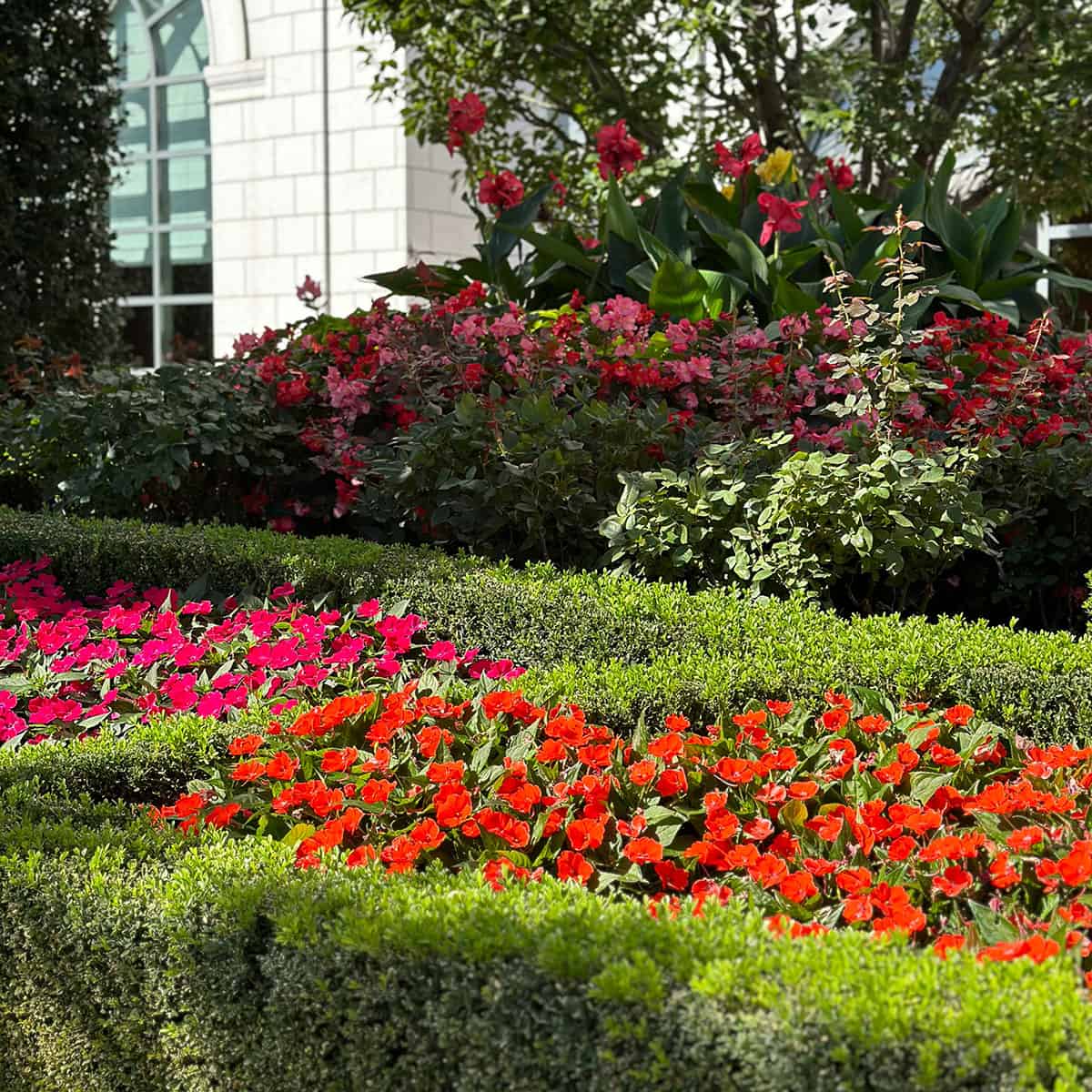 Fall Flowers and greenery with granite building in the background