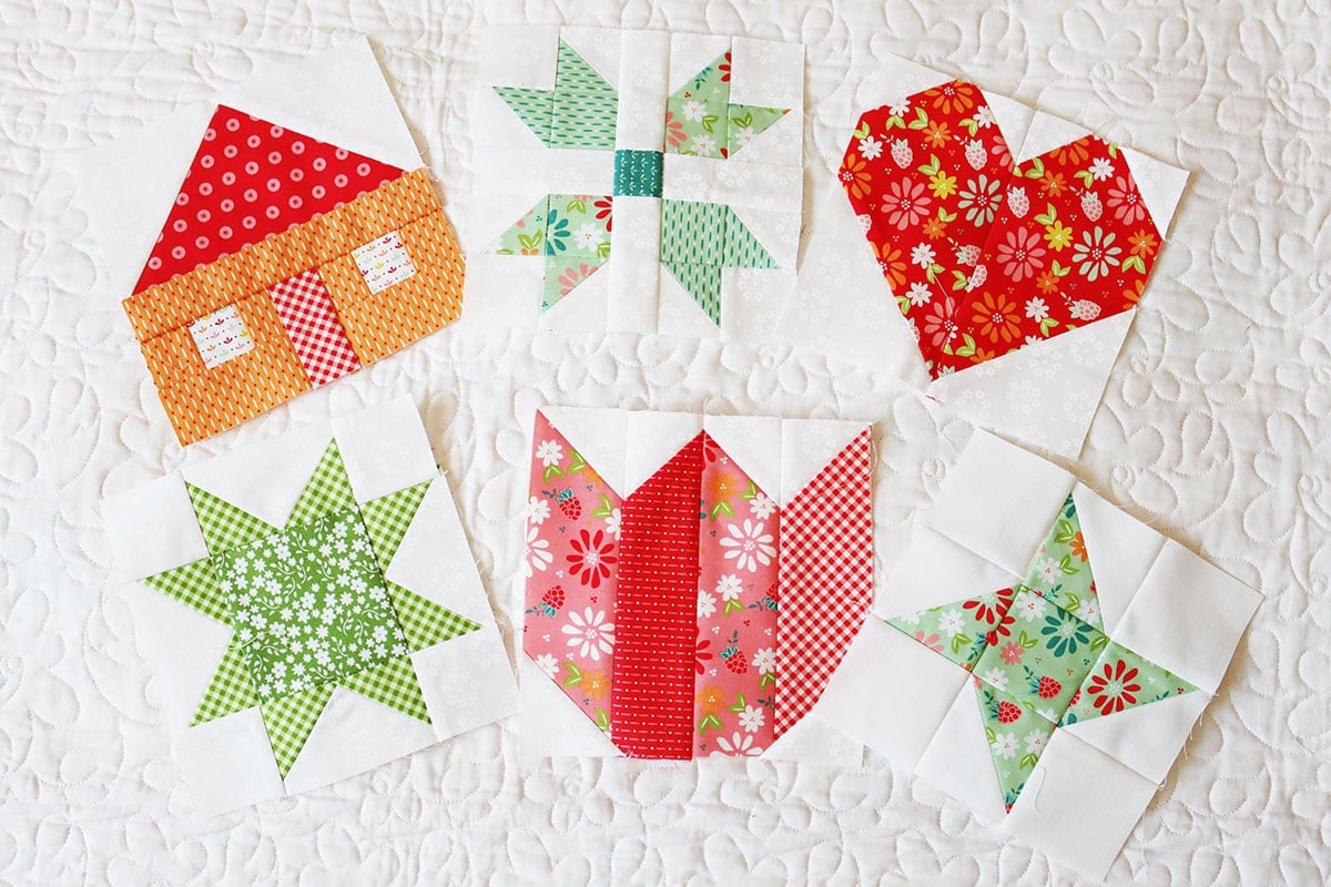 A Quilting Life Block of the Month blocks from January through June in Raspberry Summer fabrics.