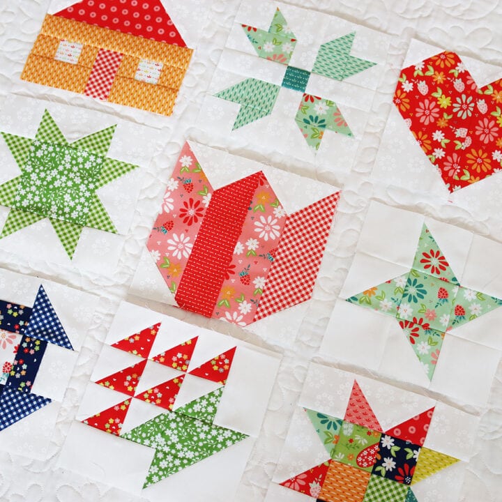 Quilt Block of the Month September 2025 - A Quilting Life