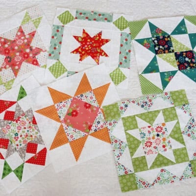 A Quilting Life Block of the Month January through June blocks in fabrics by Sherri & Chelsi for Moda