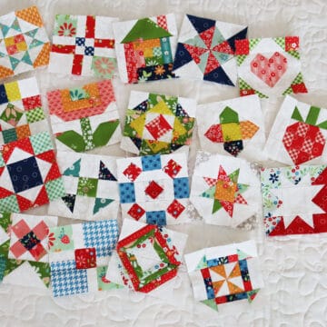 Sewcialites 3 Blocks pieced by Sherri McConnell through Block 19