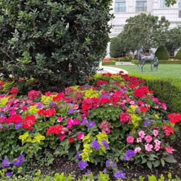 Flowers at the Grand America hotel in Salt Lake City, Utah USA